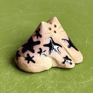 Little Star Cat