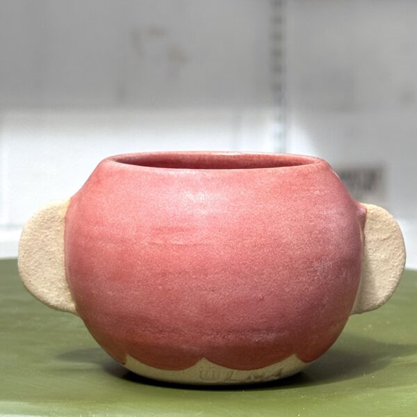 Grumpy Pot: Coral - Image 8