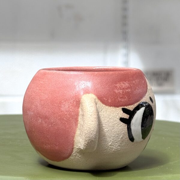 Grumpy Pot: Coral - Image 7