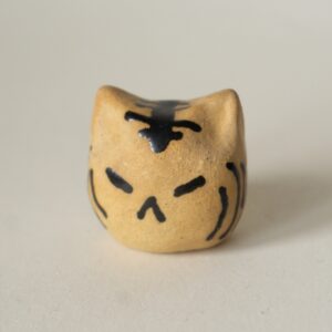Little Tabby Cat